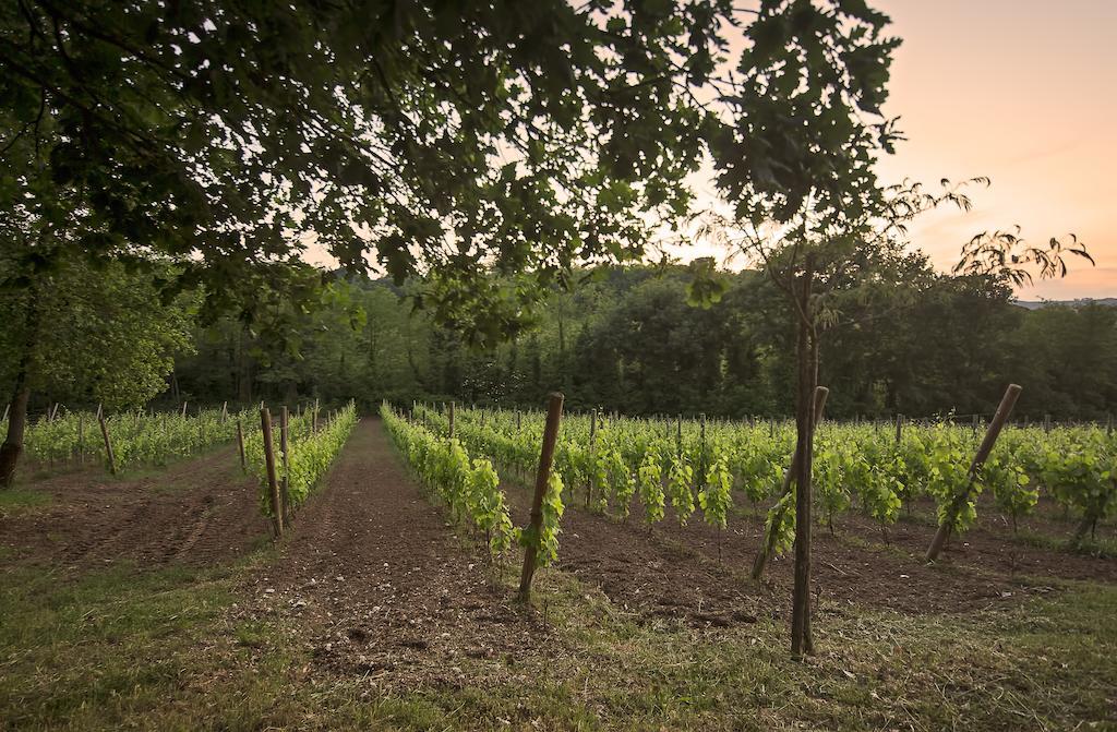La Pampa Relais & Spa Melizzano Zewnętrze zdjęcie